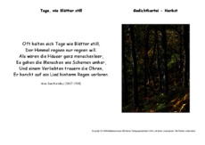 Tage-wie-die-Blätter-Dauthendey.pdf